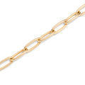 Oval Link Chain